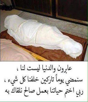 imagef-177694012590681-jpg.html